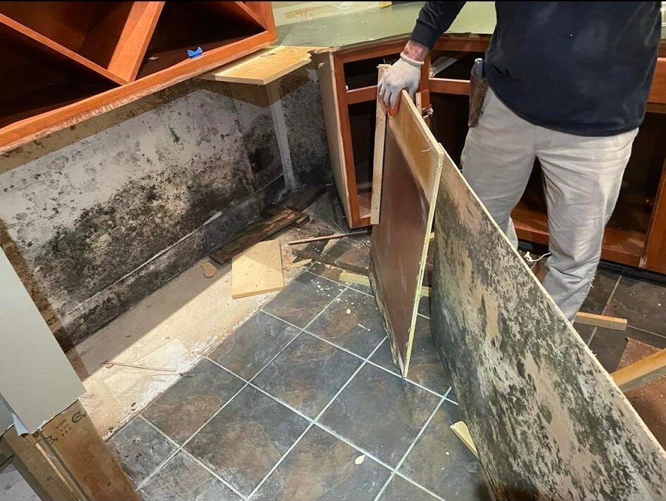 Mold behind drywall discovered during remediation in a Metro Atlanta home