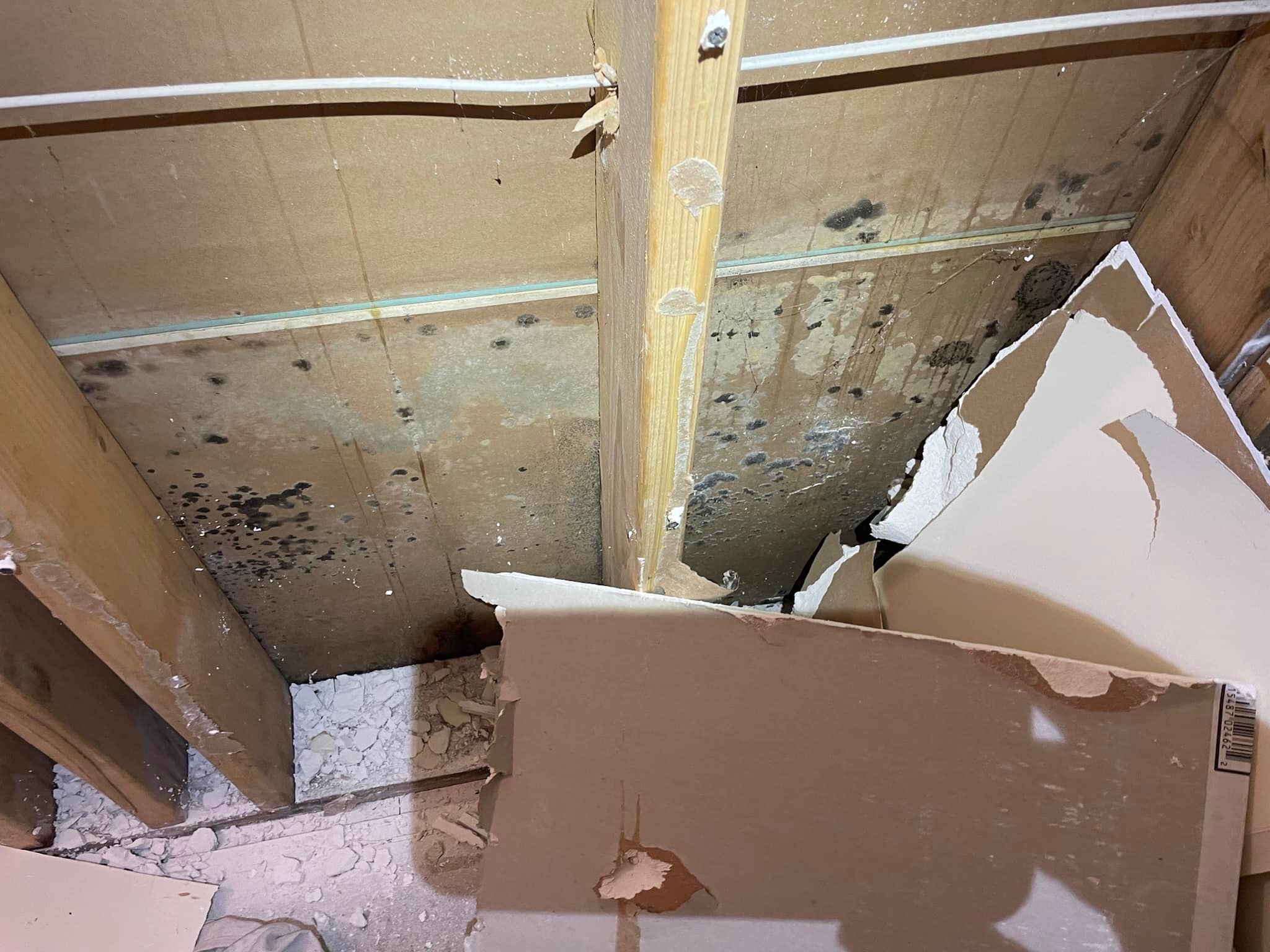 Hidden mold behind kitchen cabinets found through air quality testing by Property Restoration Pros
