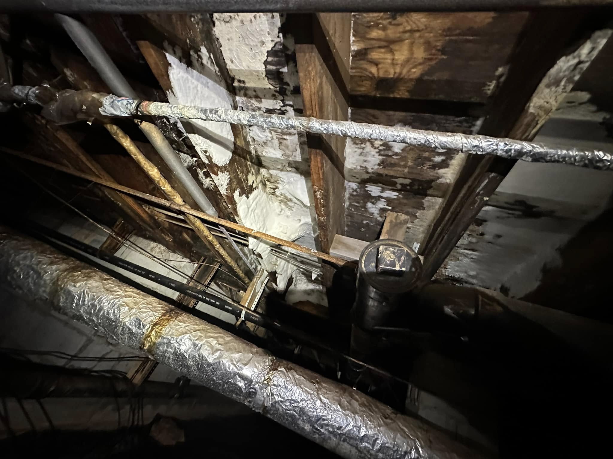 Mold on floor joists and subflooring in a crawl space - the most common mold source in Georgia homes