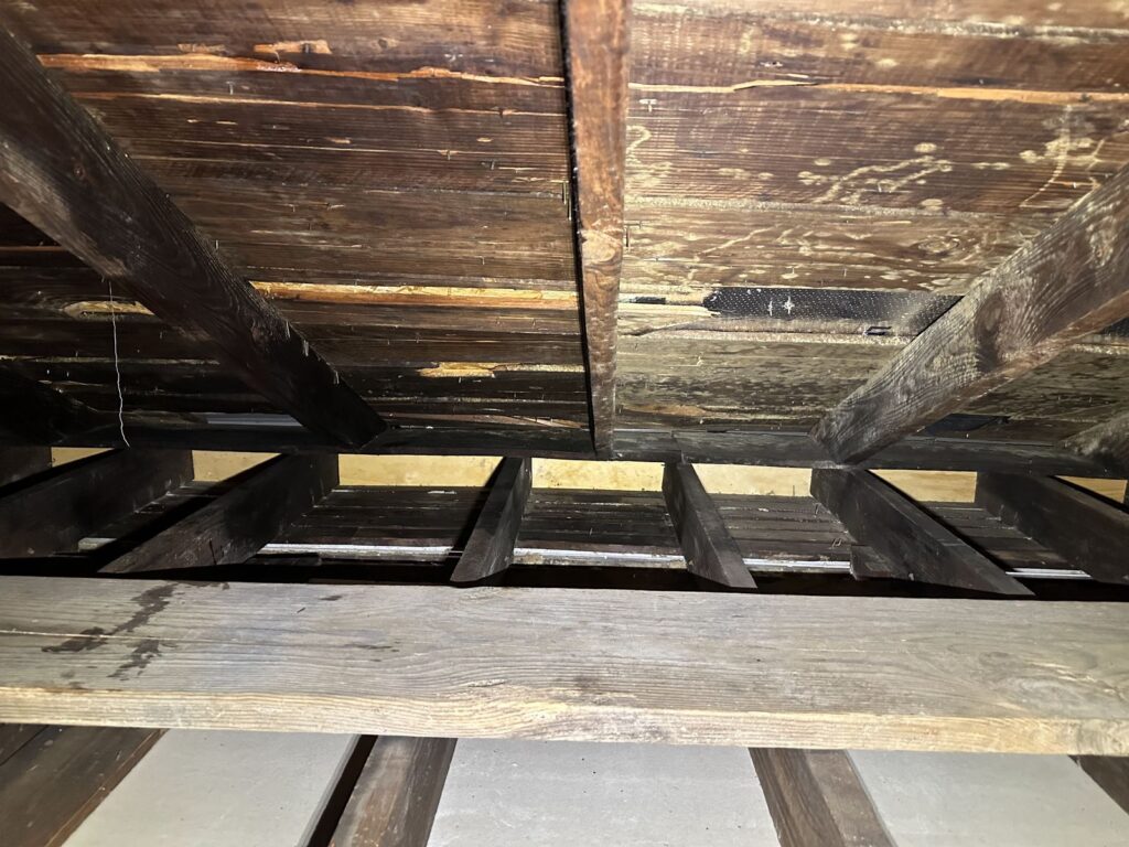 Mold-stained subfloor and joists exposed during a mold remediation inspection by Property Restoration Pros