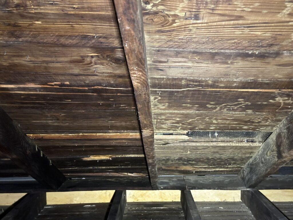 Water-damaged subfloor and joists exposed during a water damage restoration project by Property Restoration Pros